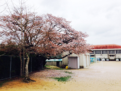 小学校　撮影