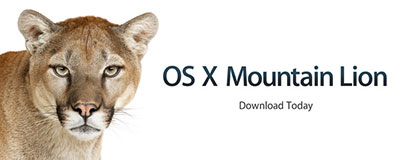 Mountain Lion